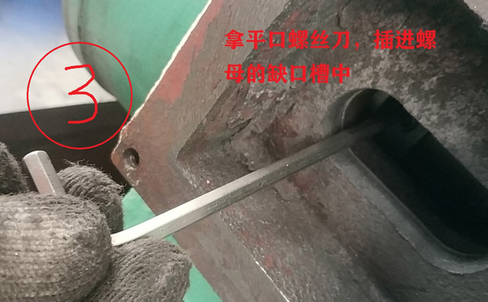 小蝌蚪视频污APP下载維修